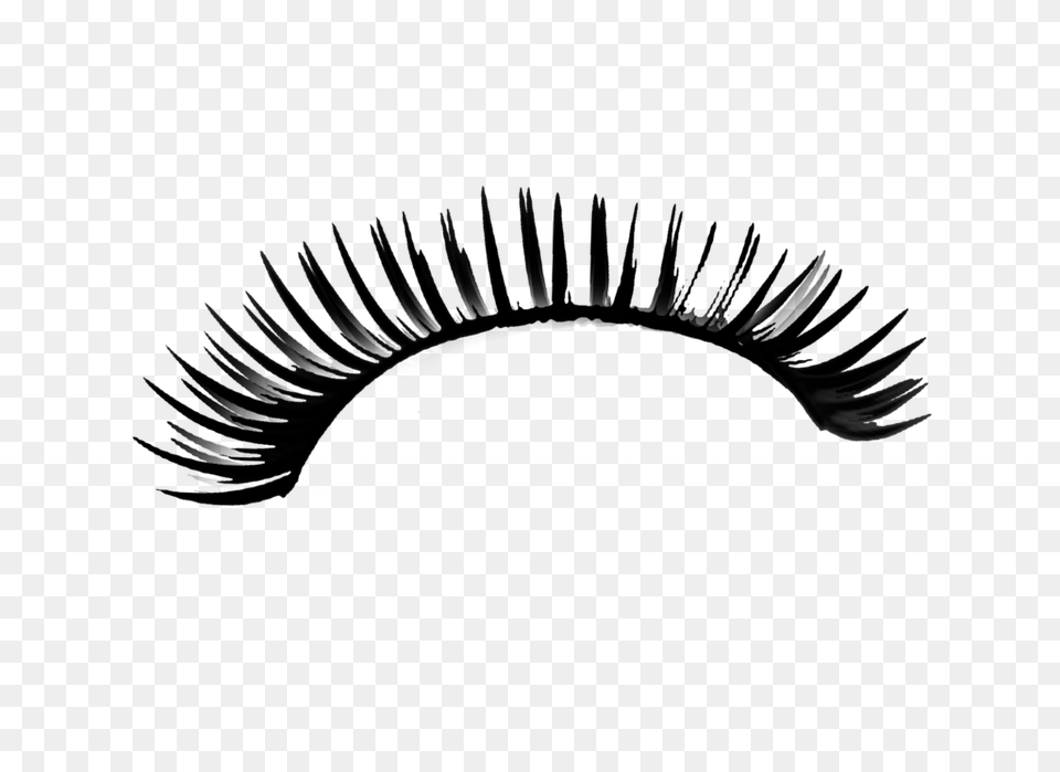 Eyelash Clip Art, Animal, Bird Png Image