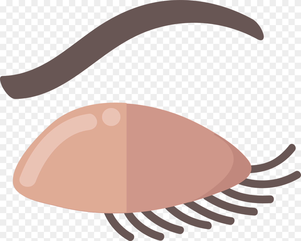 Eyelash Clipart, Animal, Clam, Food, Invertebrate Png Image