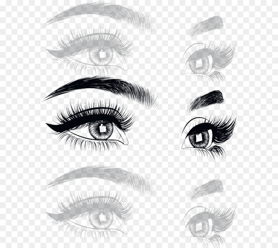 Eyelash Extension Clip Art, Animal, Dinosaur, Reptile, Drawing Free Transparent Png