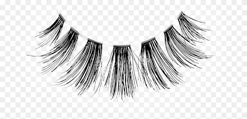Eyelash Extensions, Adult, Face, Female, Head Png Image