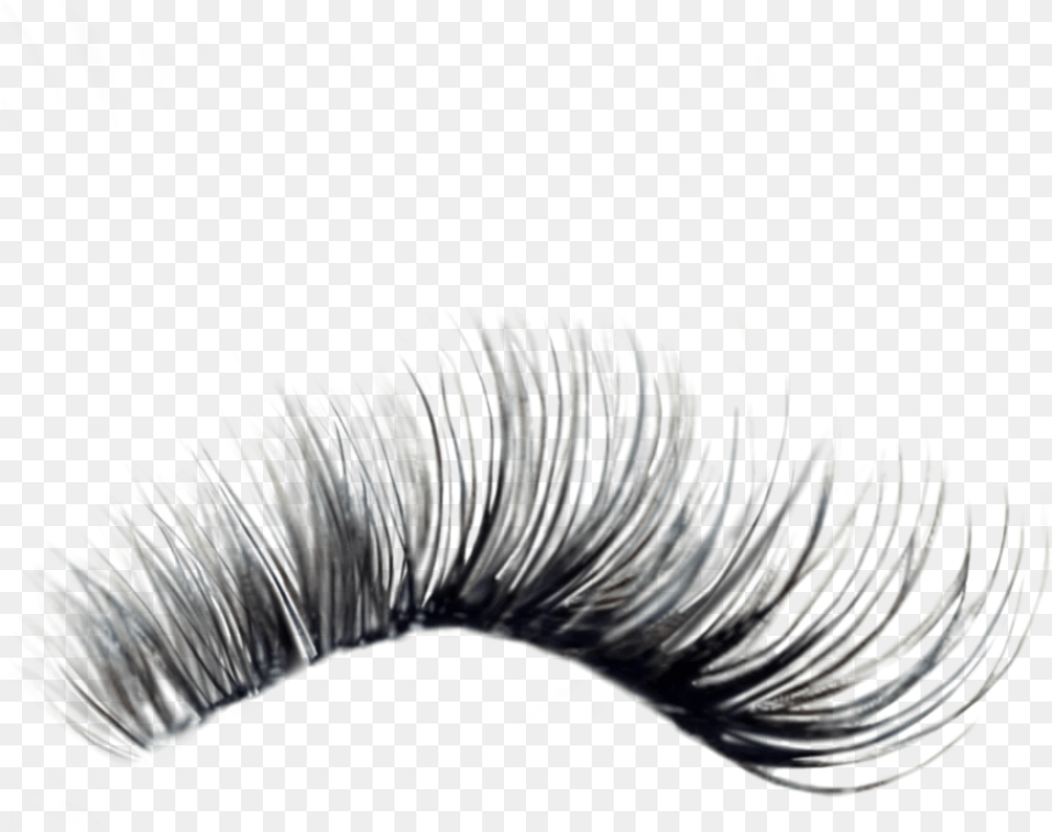 Eyelash Extensions, Nature, Night, Outdoors, Sea Free Png Download