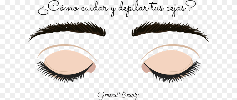 Eyelash Extensions, Head, Person, Face Png Image