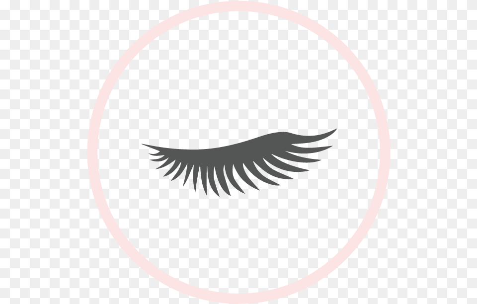 Eyelash Extensions, Emblem, Symbol, Animal, Bird Png