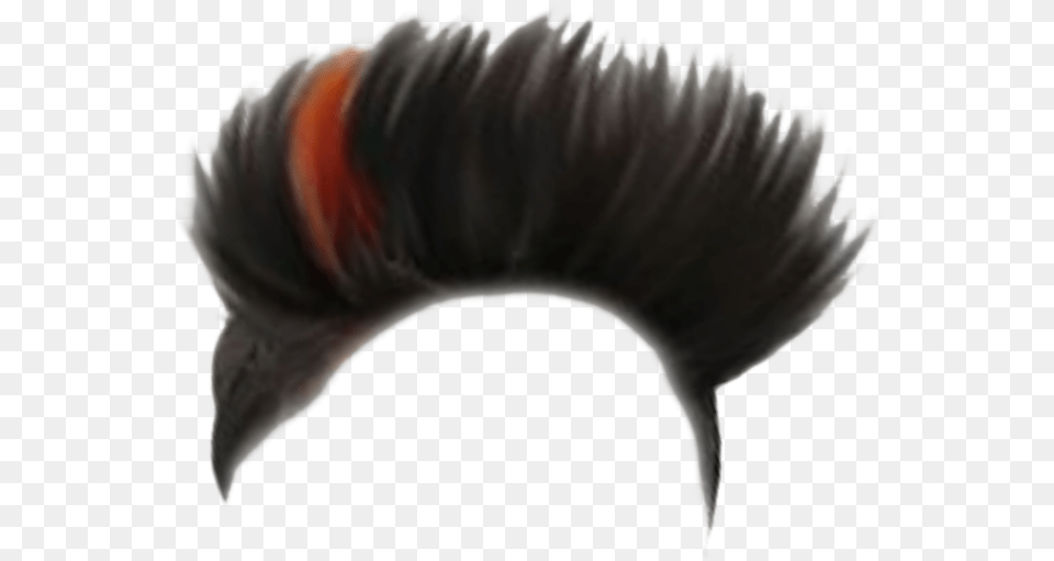 Eyelash Extensions, Animal, Beak, Bird, Hair Png