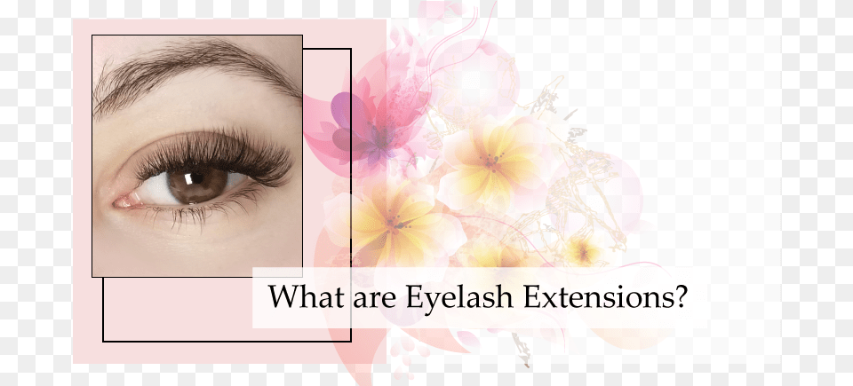 Eyelash Extensions, Baby, Person, Flower, Plant Free Png Download