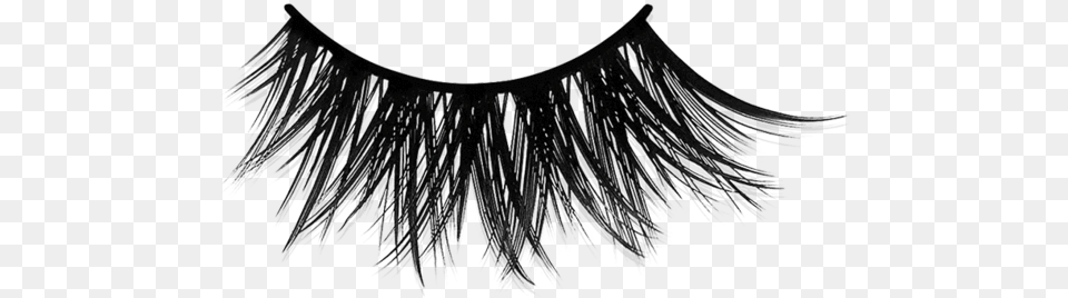 Eyelash Extensions, Accessories, Chandelier, Jewelry, Lamp Free Png