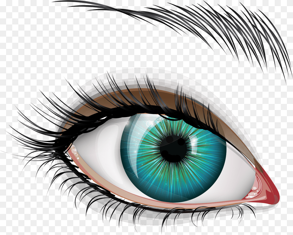 Eyelash Extensions, Art, Graphics, Adult, Female Png