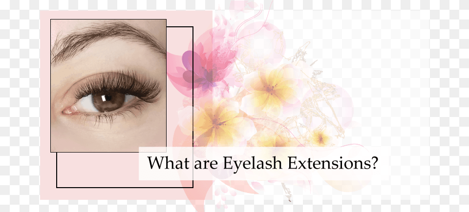 Eyelash Extensions, Baby, Person, Flower, Plant Free Transparent Png