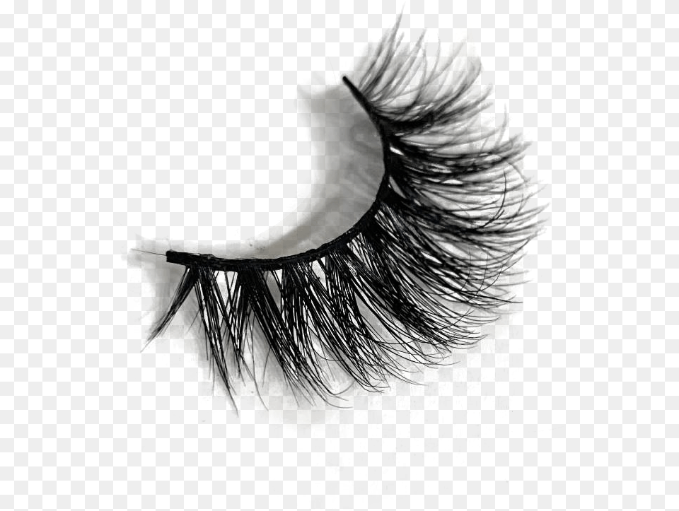 Eyelash Extensions, Brush, Device, Tool, Adult Free Transparent Png