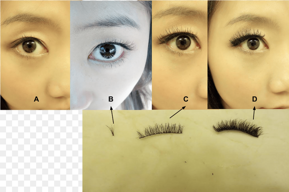 Eyelash Extensions, Face, Head, Person, Portrait Free Png Download