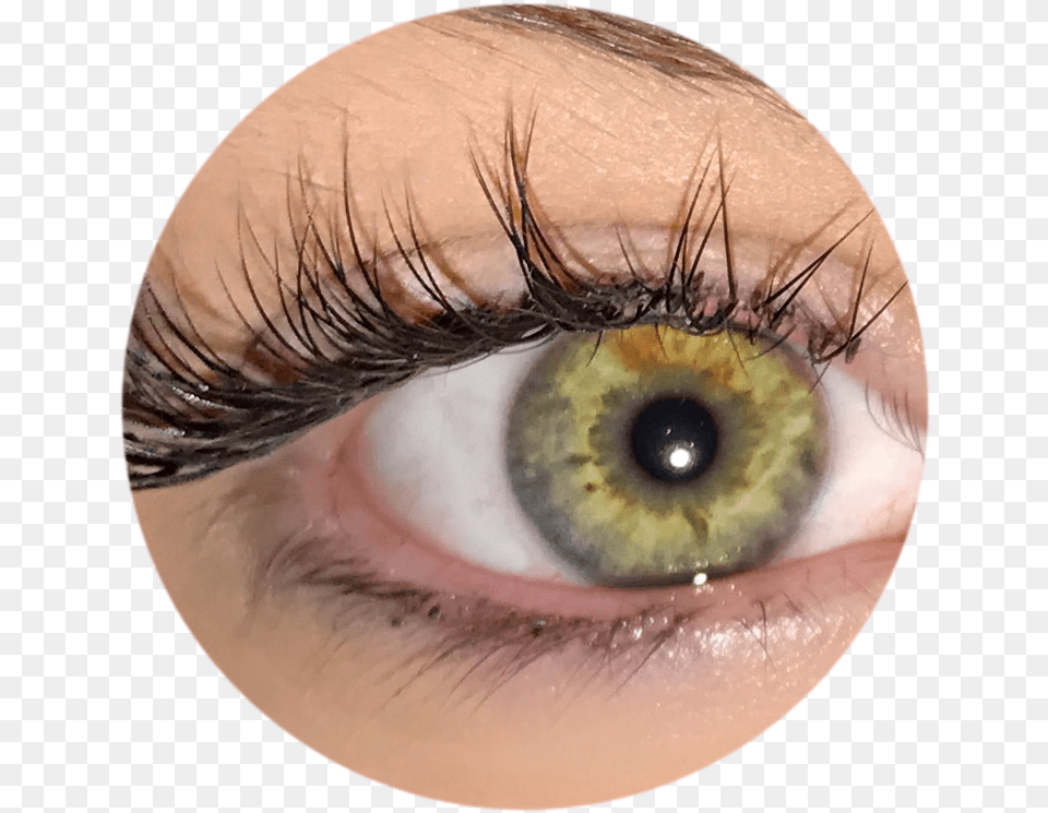 Eyelash Extentions Eye Shadow, Contact Lens, Baby, Person, Face Free Transparent Png