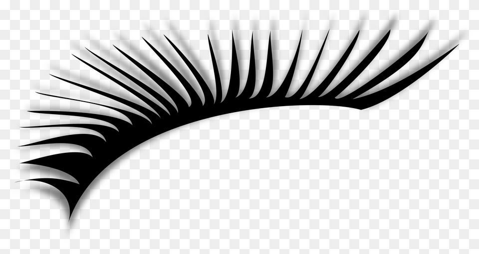 Eyelash Icons, Gray Png Image