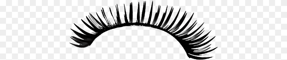 Eyelash Kirpik Freetoedit Picsart Eyelash Extensions, Person Free Transparent Png