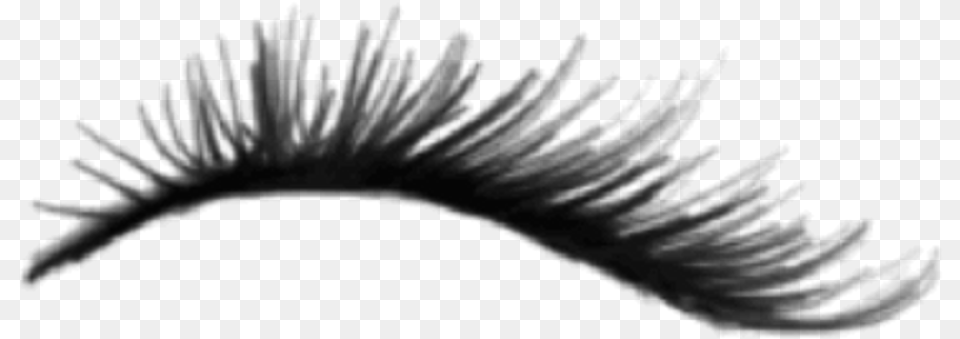 Eyelash Sticker, Gray Free Png Download