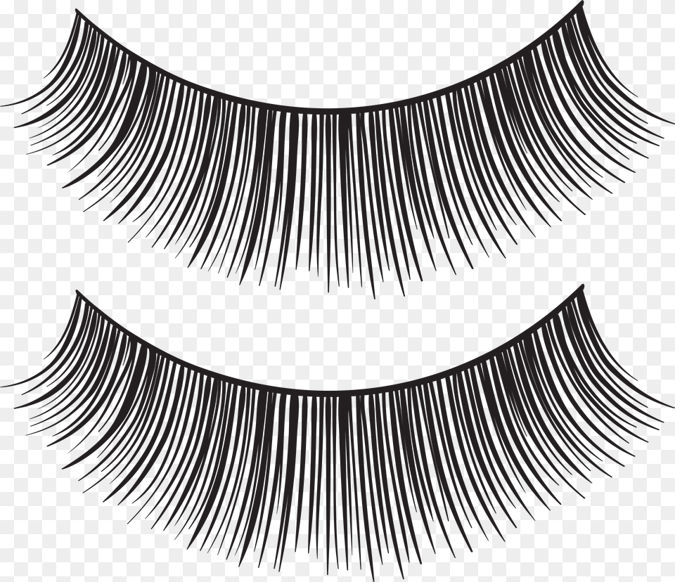 Eyelash Strips Clip Art Image Free Transparent Png