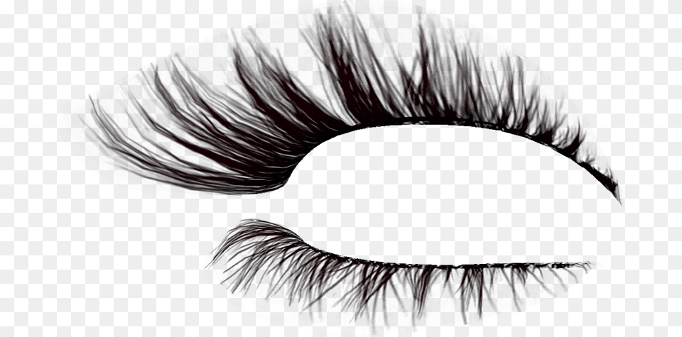 Eyelashes, Pattern, Accessories Free Transparent Png