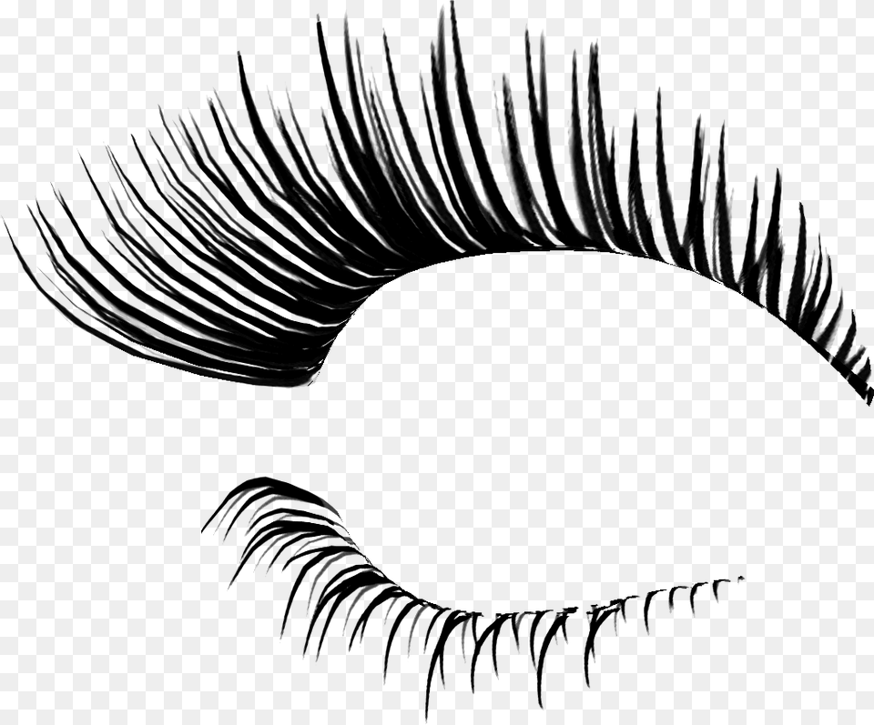 Eyelashes Background, Gray Png