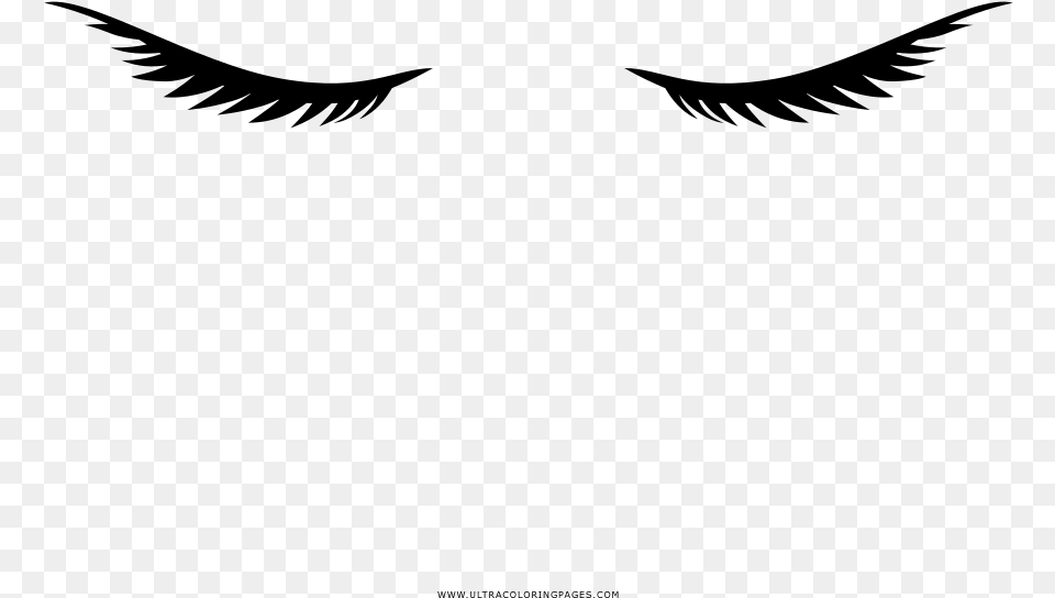 Eyelashes Coloring, Gray Png