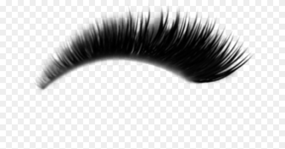 Eyelashes Eye Makeup Girl Woman Background Aesthetic Eyelash Extensions, Gray Free Png Download