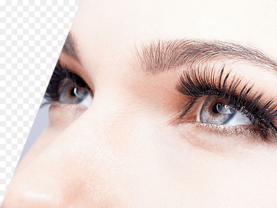Eyelashes Eyelash Extensions, Adult, Female, Person, Woman Png