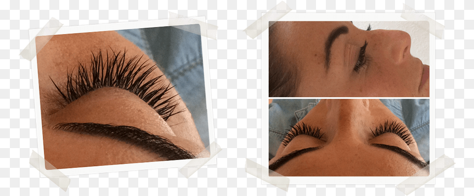 Eyelashes Eyelash Extensions, Head, Art, Collage, Person Png