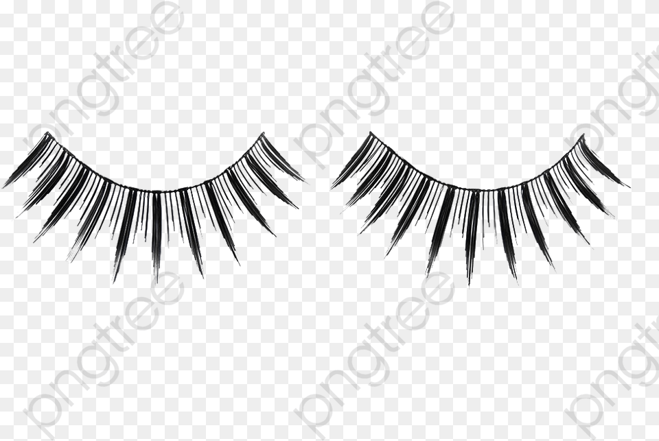 Eyelashes False Eyelashes False False Lashes, Accessories, Jewelry, Necklace, Animal Free Png