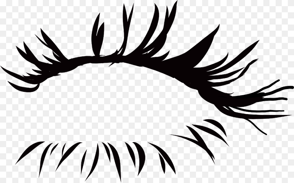 Eyelashes Lashes Eye Eyes Lash Face Accesory Illustration, Pattern, Flower, Plant, Person Free Transparent Png