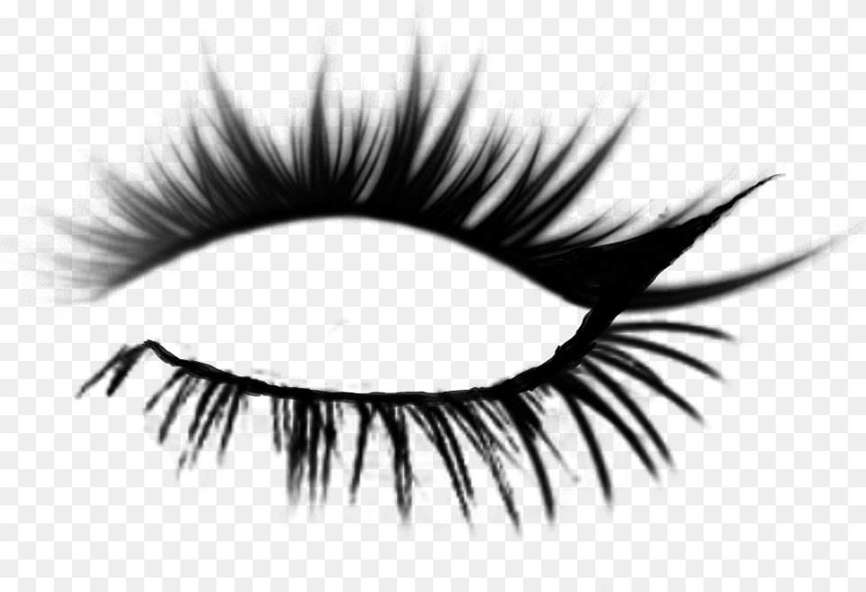 Eyelashes Righteye Eyelash Brushes, Gray Png Image