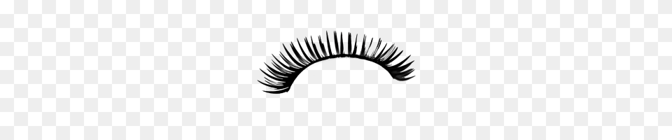 Eyelashes Transparent Png Image