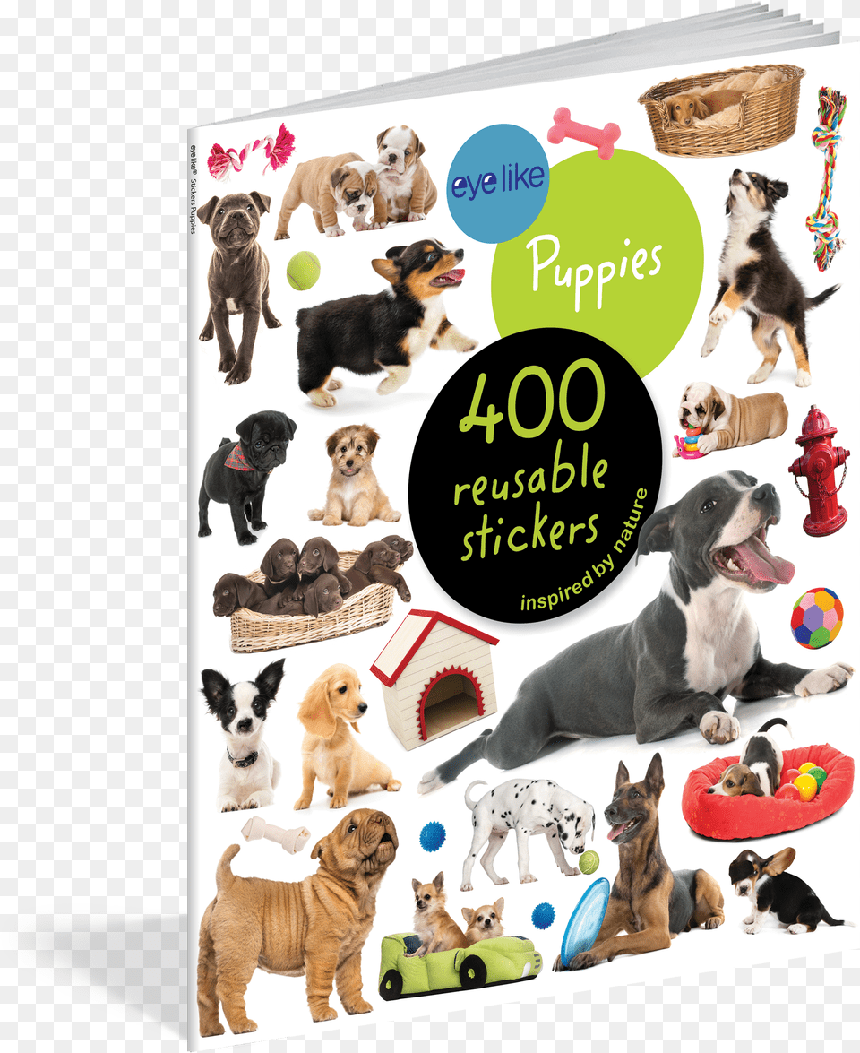 Eyelike Stickers Puppies Eyelike Stickers Puppies Book, Animal, Pet, Canine, Dog Png Image