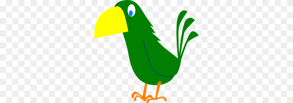 Eyes Animal, Beak, Bird, Green Png