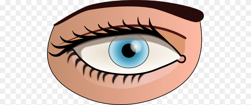 Eyes At Getdrawings Com For Personal Part Of Body Eye, Contact Lens, Disk Png