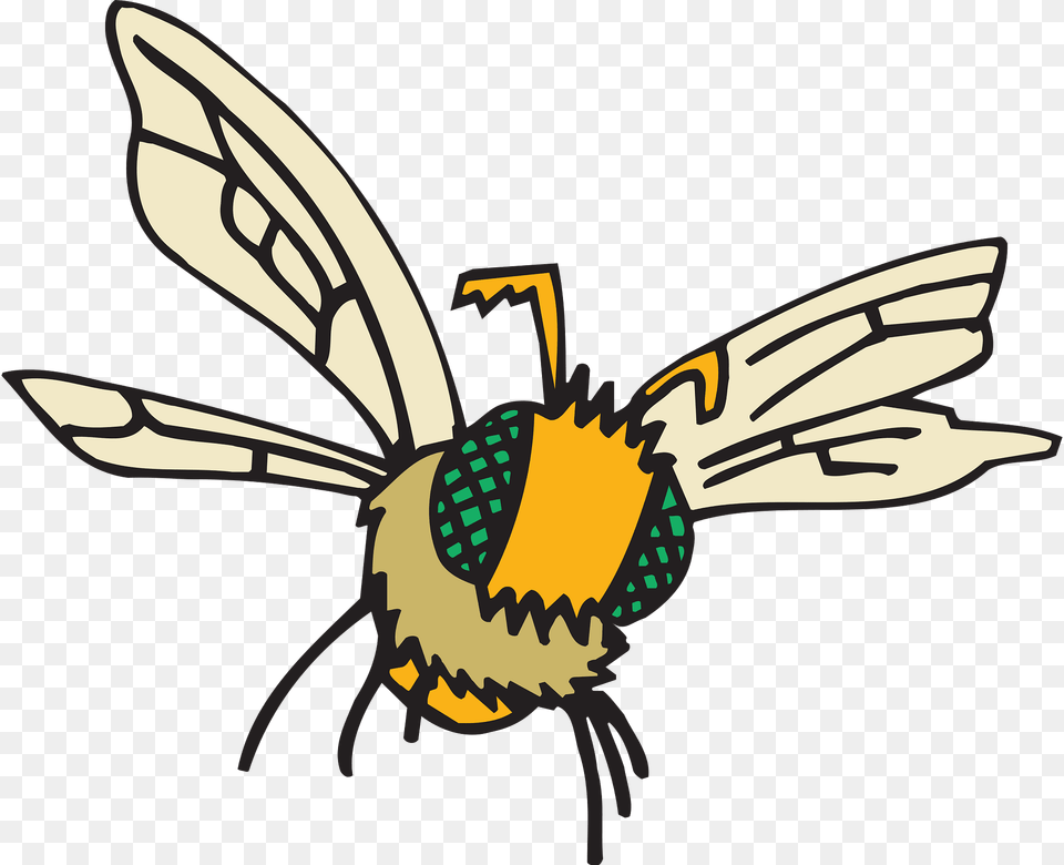 Eyes Clipart, Animal, Invertebrate, Insect, Bee Free Png
