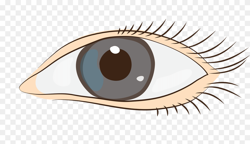 Eyes Clipart, Art, Drawing, Animal, Fish Free Png