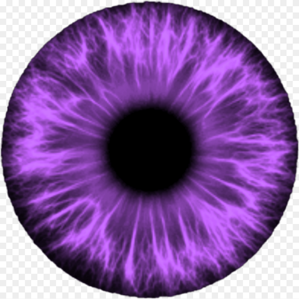 Eyes For Editing Download Cat Eye, Accessories, Purple, Ornament, Sphere Free Transparent Png