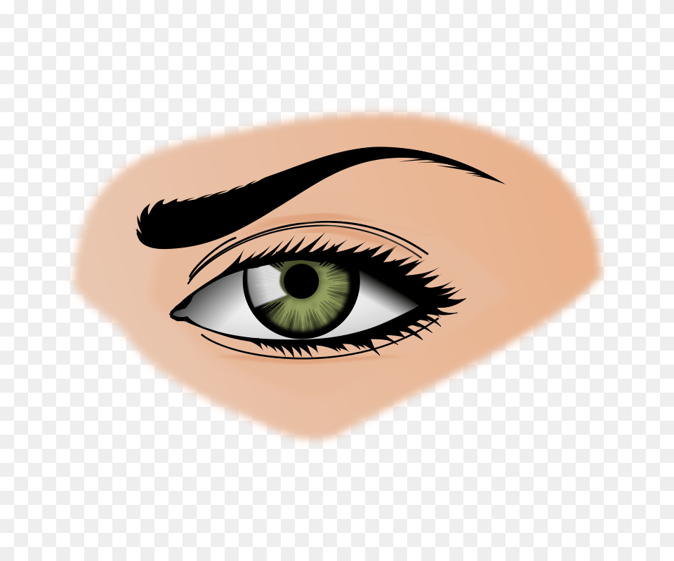 Eyes Organ Clipart, Face, Head, Person, Adult Free Png