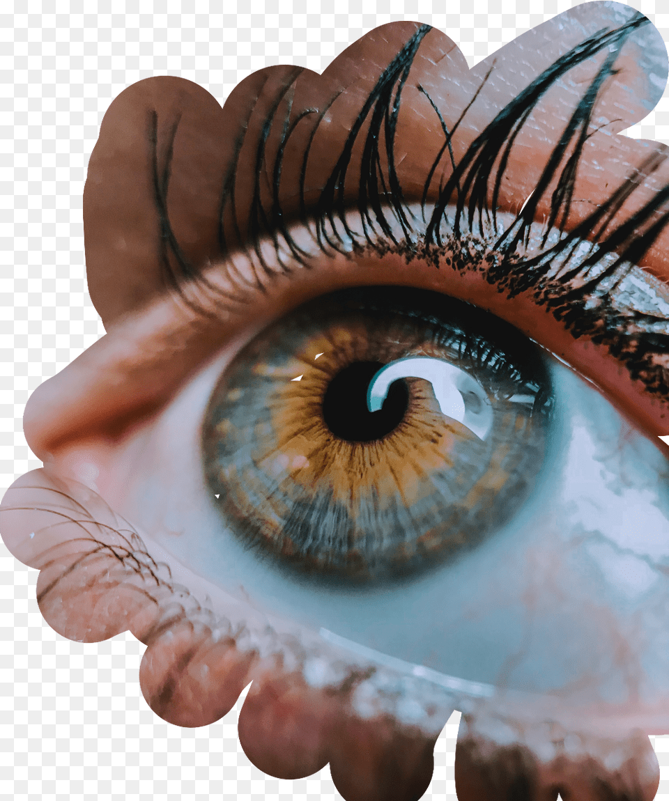 Eyes Remix Editforme Photography Eye Focus, Person, Contact Lens Png