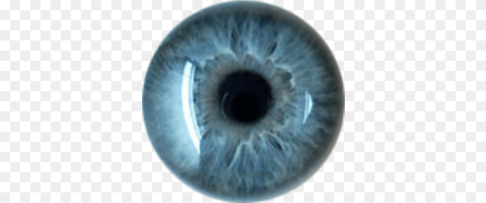 Eyes Transparent Images Best For Editing, Contact Lens, Animal, Reptile, Snake Png Image