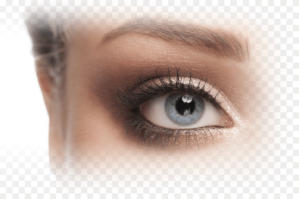 Eyeshadow To Make Your Eyes Look Bigger, Adult, Female, Person, Woman Free Png