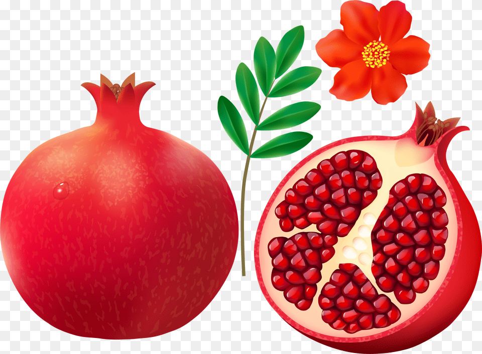 F Cdba Orig Pomegranate Clipart Free Png