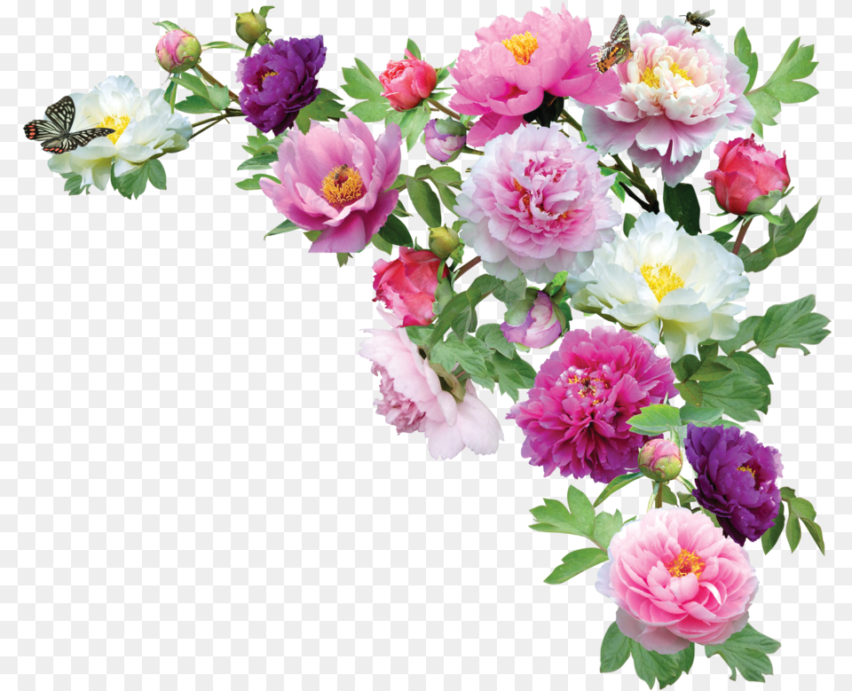 F Esquina De Flores Tumblr, Flower, Flower Arrangement, Flower Bouquet, Plant Png Image