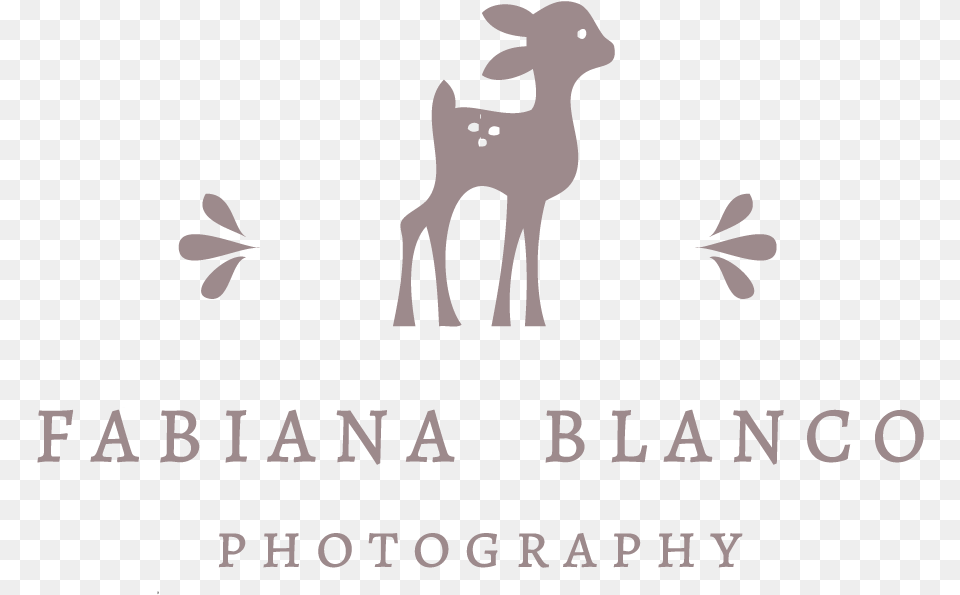 Fabiana Blanco Photography Deer, Animal, Mammal, Wildlife Free Png