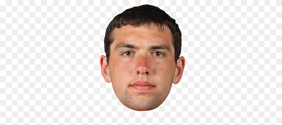 Face, Adult, Head, Male, Man Free Png
