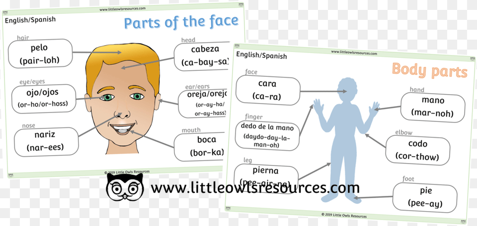 Face And Body Parts Cover Face Parts In Malay, Baby, Head, Person, Text Png