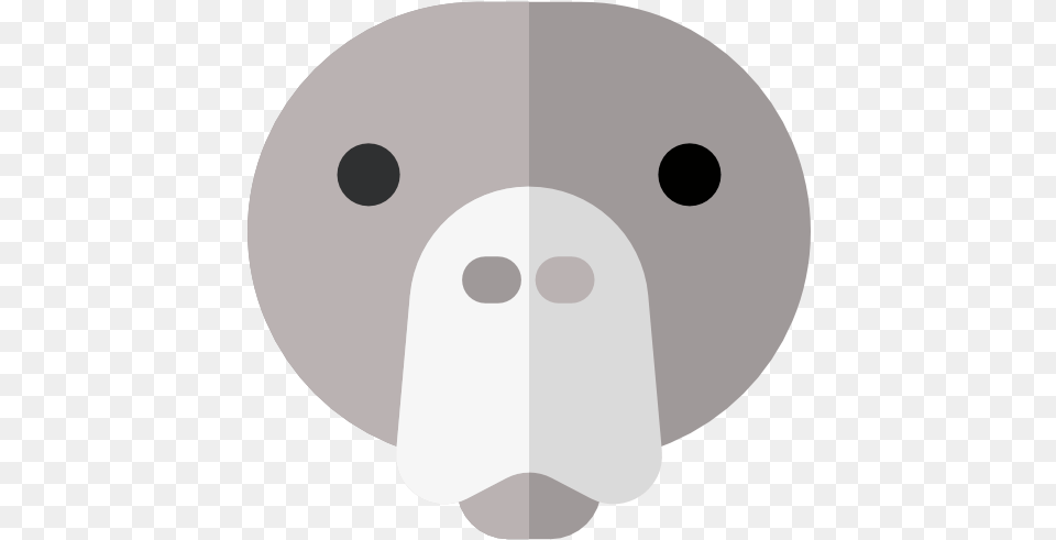 Face Animal Head Front Animals Walrus Outline Frontal Cartoon, Disk Png