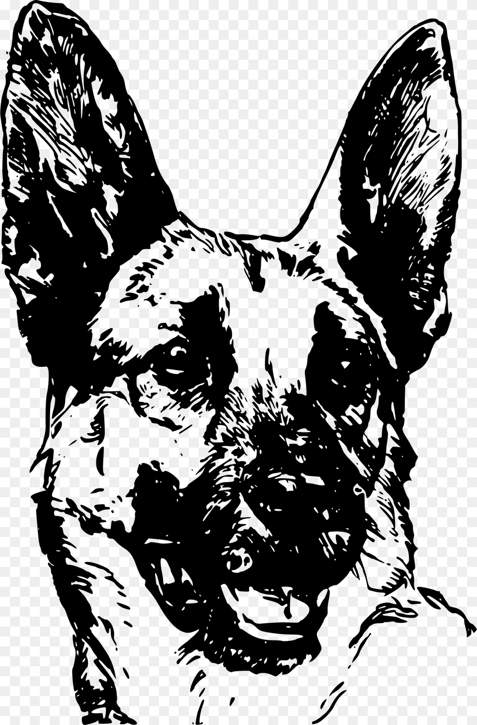 Face Drawing At Getdrawings German Shepherd Face Vector, Gray Png Image