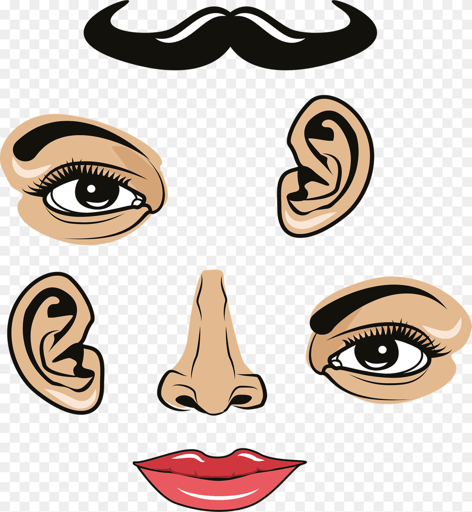 Face Parts Clipart, Head, Person Free Png