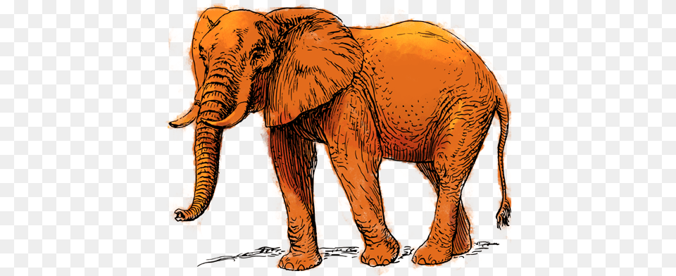 Facebook Emojis Words That Describe An Elephant, Animal, Mammal, Wildlife, Tiger Free Png