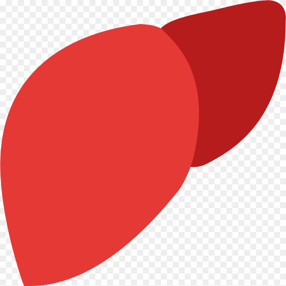 Facebook Icon Download Liver With No Background, Accessories, Cushion, Flower, Formal Wear Free Png