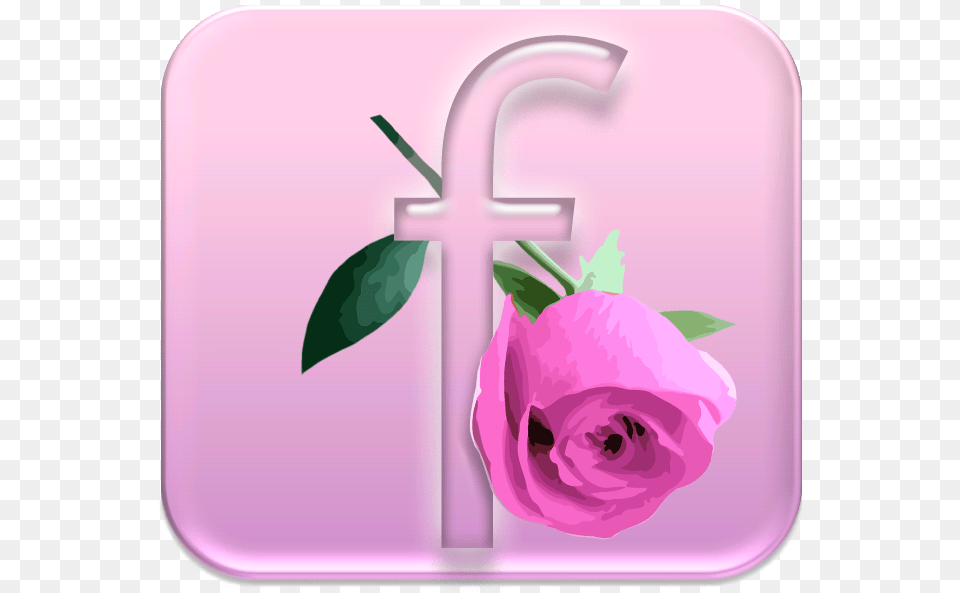 Facebook Icon Pink Like On Facebook With Roses, Flower, Plant, Rose Free Png Download